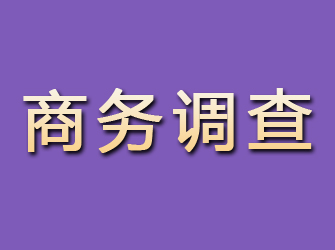 秦都商务调查